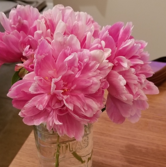 Meet your Posher, Liv - Picture 1 of 1